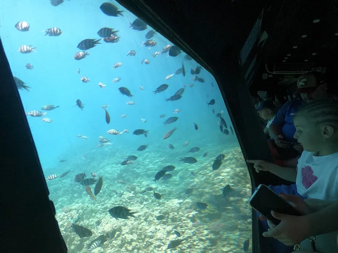 رحلة الغواصة بانوراما في مكادي | Panorama Submarine Makadi
