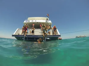 رحلة بيت الدلافين في الغردقة | Dolphin House Hurghada