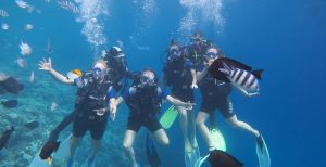 رحلة الدايفينج في الغردقة | Diving in Hurghada