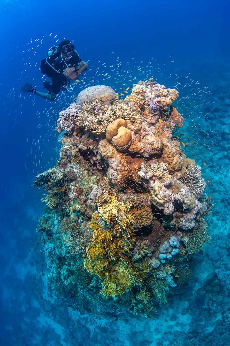 رحلة الدايفينج في الغردقة | Diving in Hurghada