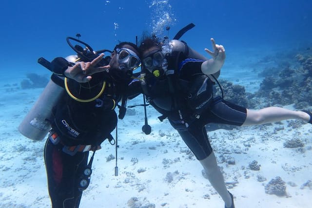رحلة الدايفينج في الغردقة | Diving in Hurghada