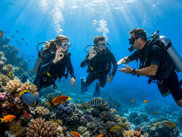 رحلة الدايفينج في الغردقة | Diving in Hurghada