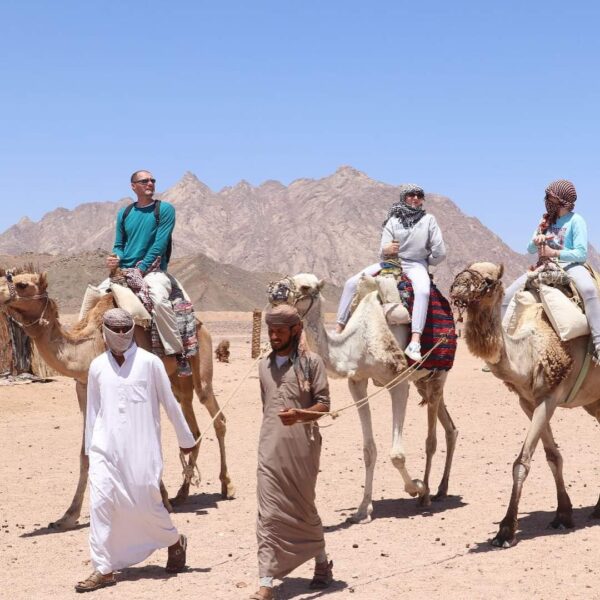 رحلة سفاري ديسكافري 5 ساعات في الغردقة | Safari Discovery 5 Hours in Hurghada