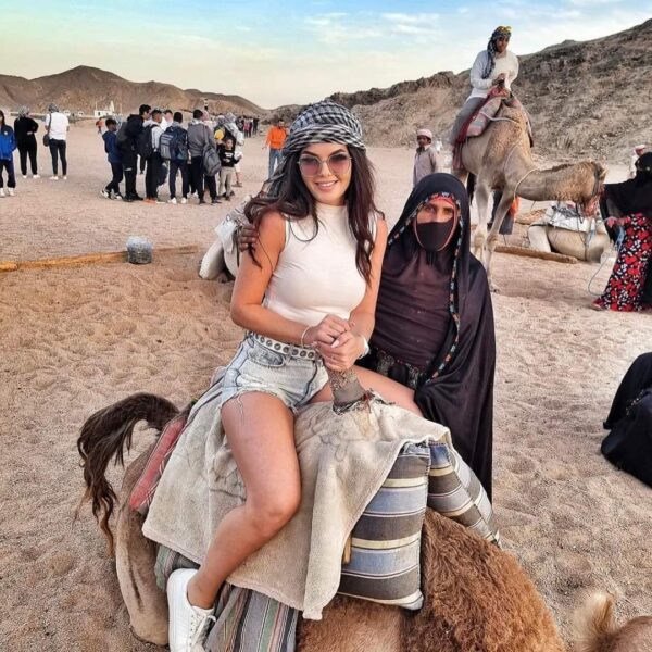 رحلة سفاري ديسكافري 5 ساعات في الغردقة | Safari Discovery 5 Hours in Hurghada