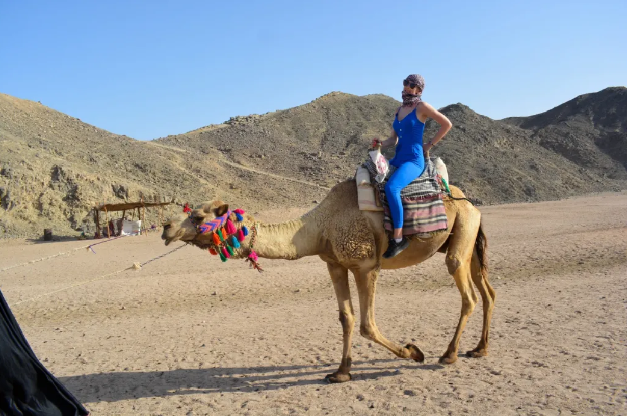 رحلة سفاري ديسكافري 5 ساعات في الغردقة | Safari Discovery 5 Hours in Hurghada
