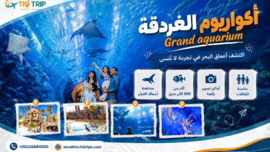 جراند اكواريوم الغردقة | Grand Aquarium Hurghada