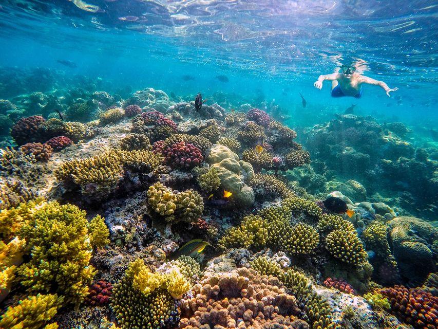 رحلة جزيرة بارادايس بالغردقة | Paradise Island Hurghada